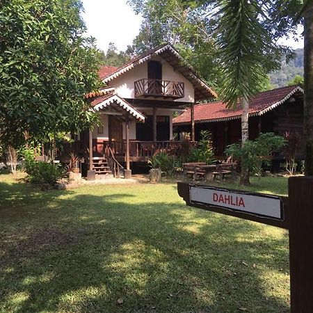 Rustic Chalet - Dahlia N Mawar At Sedim Vista Kulim Eksteriør billede